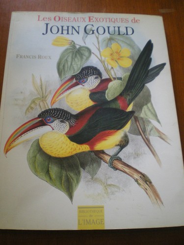 Les oiseaux exotiques - exotiques, de