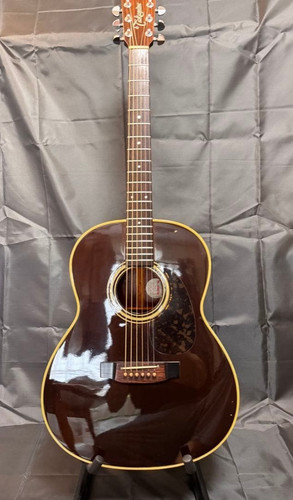 Guitare électrique acoustique