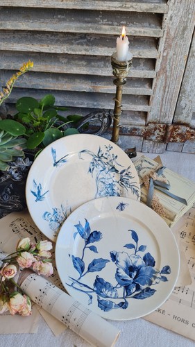 Anciennes assiettes terre de - anciennes,