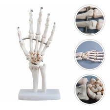 Modèle d'articulations