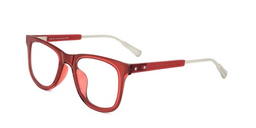 Lunettes vue kris van - de,