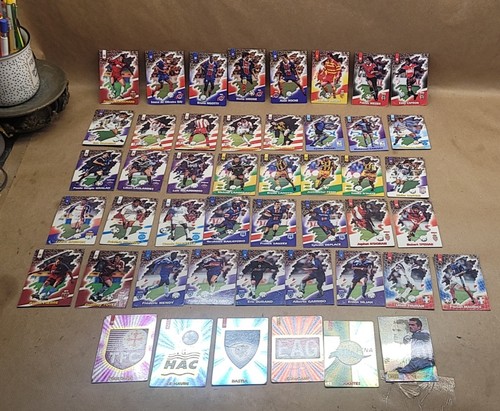 Panini foot cards - panini,