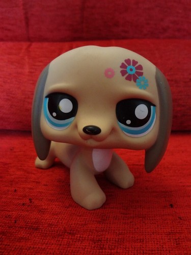 Little petshop grand chien - , lps