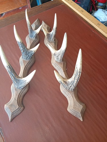Lot portes fusil avec - lot,
