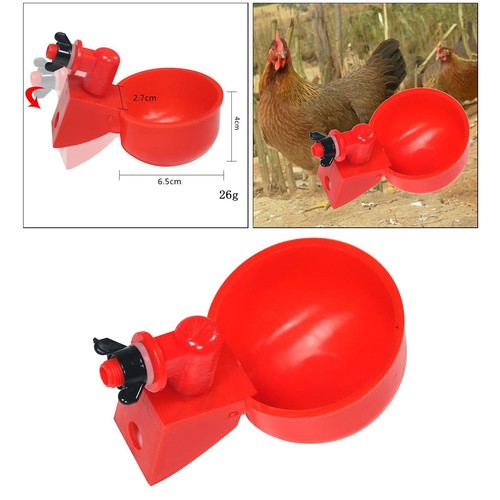 Abreuvoir volaille tasses - volaille,