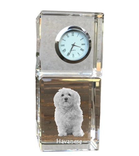 Bichon havanais horloge - , en