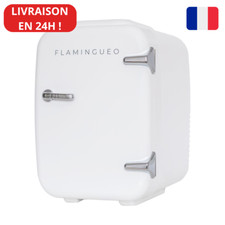 Flamingueo 4L - Mini Frigo Vintage Chambre, Réfrigérateur Cosmétique Silencieux