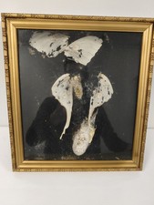 Taxidermie papillon ancien