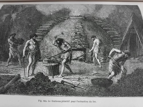 Figuier homme primitif 1873 - primitif,