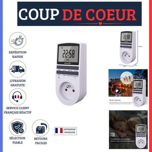 Prise programmable électrique