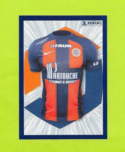 Vignette panini 255 - vignette,