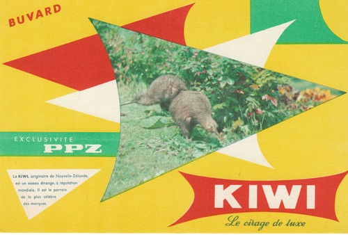 Buvard vintage kiwi cirage - le,