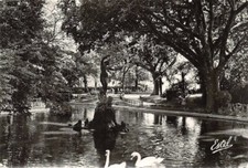 Avignon - Le bassin du jardin de la cathédrale - Vénus après les hirondelles