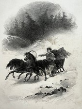 TRAINEAU Neige Chevaux