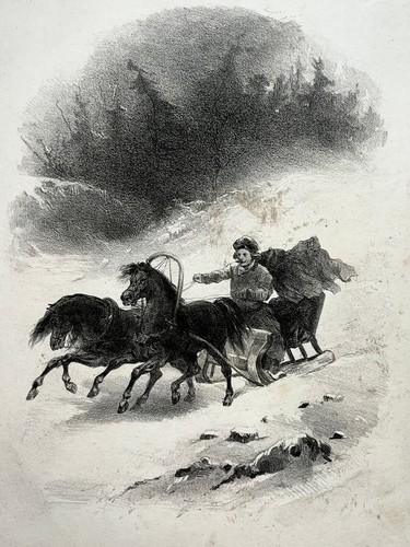 Traineau neige chevaux - traineau,