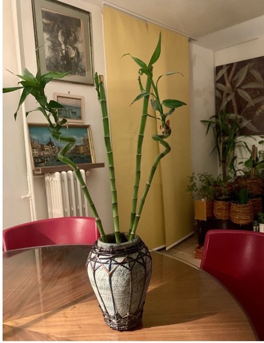 Irrésistible vase - irrésistible,
