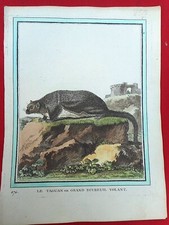 255 GRAVURE XVIIIe Histoire