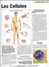 Fascicule Notre Monde - Le corps Humain - Les Cellules