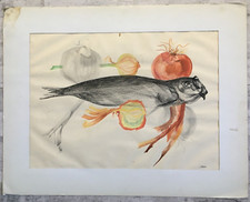 Jean ABADIE (1921-2010) Grande Aquarelle à Décor de Hareng Poisson 40 x 55 cm