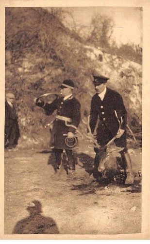 Chasse san37886 forêt de - -,