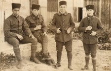 CARTE PHOTO   ARMEE D'AFRIQUE