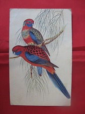 ++"0663"  CPA  OISEAUX  PERRUCHES PLATYCERQUES   "COMITE NATIONAL DE L ENFANCE"