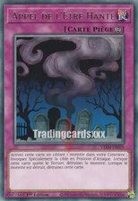 Yu-Gi-Oh! Appel de l'Être Hanté : R VASM-FR059