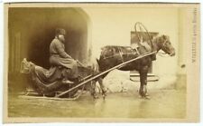 CDV 1870-75 William Carrick à Saint-Pétersbourg. Cocher et traineau. Russie.