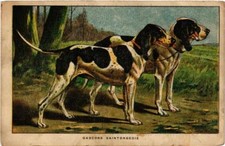 CPA AK Gascons Saintongeois