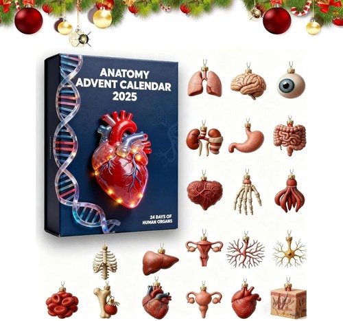 Calendrier avent 2025 - calendrier, de