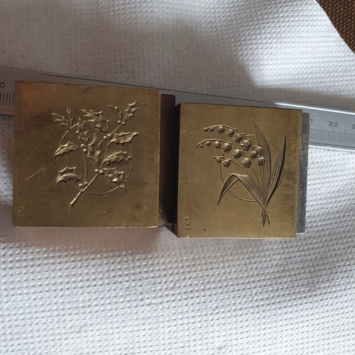 Ancienne matrice plante - ancienne,
