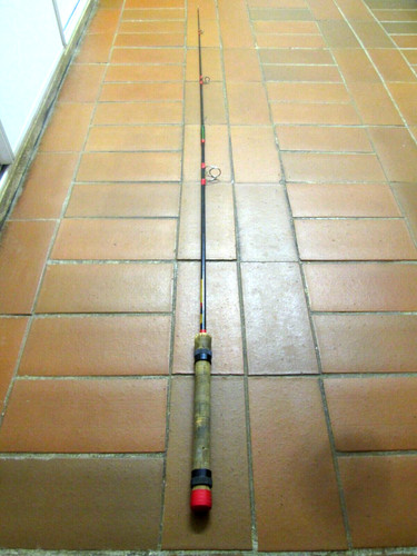 Canne lancer brins peche - lancer, 2