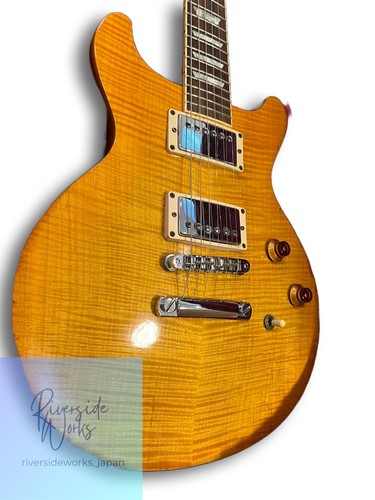 Gibson les paul standard - paul, dc