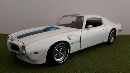 Pontiac trans blanc 1970 au - blanc,
