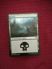 100 terrains marais ★ 2004-20 ★ carte magic the gathering l'assemblée ★ MTG