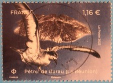 FRANCE 2023 Oblitéré YT 5715 "BIODIVERSITÉ:  PÉTREL de BARAU " CACHET ROND