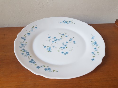 Plat rond arcopal - plat,
