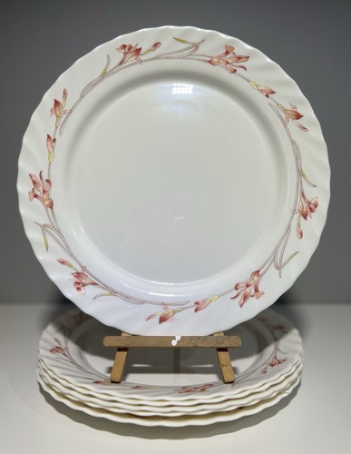 Assiettes arcopal plate - arcopal,