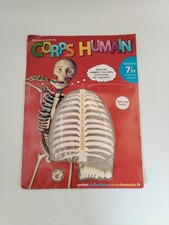 A La Découverte Du Corps