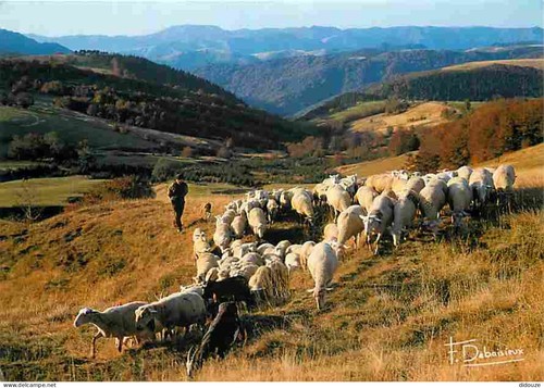 Carte postale animaux - postale,