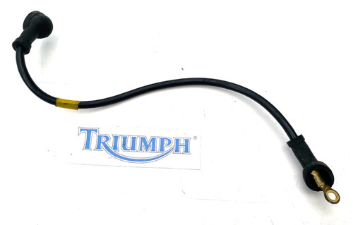 Triumph daytona 955i - daytona, ss
