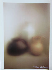 Carte Postale   DAVID  HAMILTON   Postcard  Natures Mortes