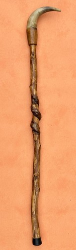 Canne bâton marche - en, bois