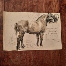 Dessin Ancien Animalier Fond