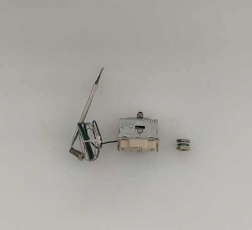 Ego 33549 040 thermostat - ego,