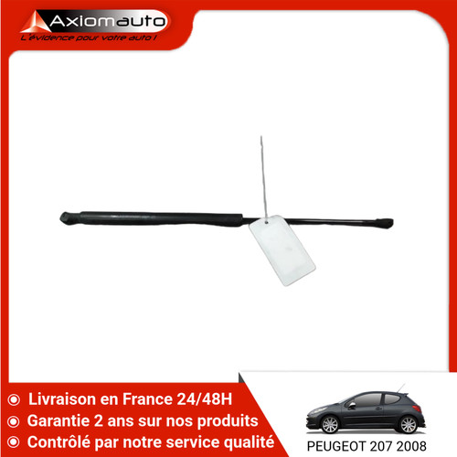 Verin hayon g peugeot - g,