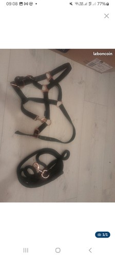 équitation licol poney - équitation,