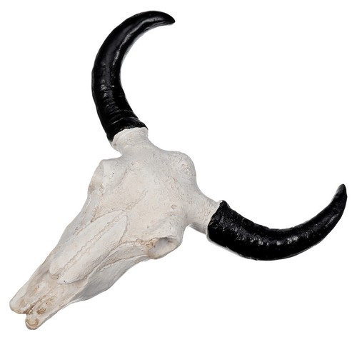 Decoration tête mort vache - tête,