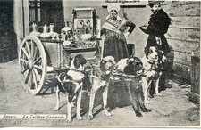 CARTE POSTALE BELGIQUE / ATTELAGE DE CHIENS / LAITIERE FLAMANDE LE PROCES VERBAL