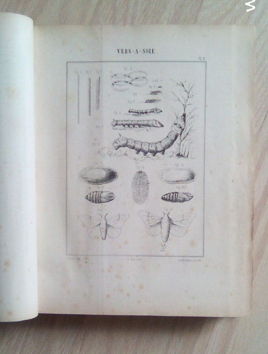 Livre falcot traité - livre, la